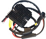 10-573h 10573h Ricks Motorsport Electric Hot Shot Series