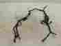 2460780 11250 Polaris Xplorer 250 4x4 2000 Wiring Harness