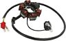 148917 Moose Racing Stator