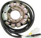 21-150 Ricks Motorsport Electric Stator