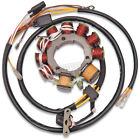 21-551 Ricks Motorsport Electrics Stator