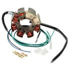 21-630 Ricks Electrics Motorsport Electric