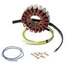 21-631 Ricks Electrics Motorsport Stator