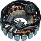 21-712 Ricks Motorsport Electric Stator