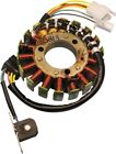 21-813 Ricks Motorsport Electric Stator