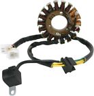 21-815 Ricks Motorsport Electric Stator
