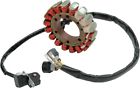 21-909 Ricks Motorsport Electric Stator