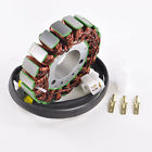 21003-1128 Racetech Electric Generator Stator