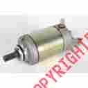 2110-0389 Moose Starter Motor