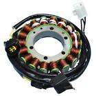 2112-0641 Ricks Motorsport Electrics Electric Magneto Stator Cat Automatic Tbx Rick