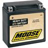 2113-0051 Moose Utility Agm Battery