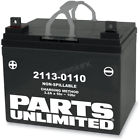 21130110 Parts Unlimited Agm Maintenance