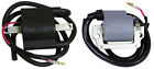 23-401 Ricks Motorsport Electric Ignition Coil