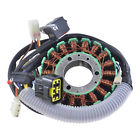3089612 Racetech Electric Stator For