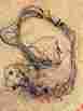 3nh-8259000-10-00 Yamaha 1991 Big Bear 350 Complete Wire Harness