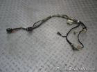 43d-h2590-00-00 Yamaha Raptor Wiring Harness