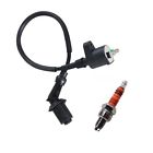 706795296207 Poweka New Pack Of Ignition Coil Spark Plug