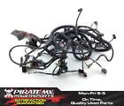 710004062 Main Engine Wiring Harness