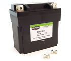 Dlfp-9b 780808 Bikemaster Lithium-ion Battery