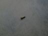 93492-05018-08 Honda Atc Ignition Coil Stay Bolt Oem