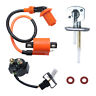 Do-0193 Auinland Ignition Coil For Yamaha Warrior Yfm350x Bear Tracker 250 Atv 1987-2004