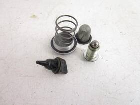 V12361gyk000 Brp 08 Can Am Ds 90 X Oil Plugs Caps 2008-2022