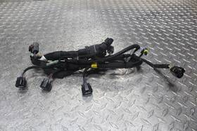 420864359 Can-am 2024 Ryker 900 Sport Ace Oem Ecm Wiring Harness Wire Injectors