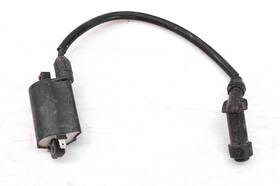 A30500179000 Can-am 05 Rally 175 200 2x4 Ignition Coil