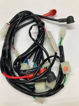Dql-ea011 Coolster Wire-28 Complete Wiring Harness For Atv 3050c