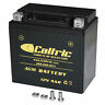 Cz1092ba101cz Caltric Agm Battery Fits Suzuki Quadsport