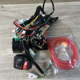 Eo-whr-03 Eopoayi Electric Wiring Harness Kit For Tattoo Coolster 110 Cc-125cc Chinese Atv- 4 Whee