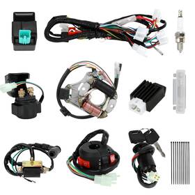 Eo-whr-05 Eopoayi Complete Wiring Harness Kit Compatible With Tao Coolster 110cc 12