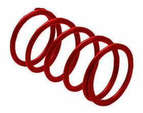 Patv1 Epi Performance New Erlandson Primary Clutch Spring Red