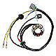 Esl740 Procom Electrosport Lighting Stator Kawasaki 799804156876