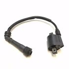 F3-d10000-0 Jianshe New Ignition Coil Mountain Lion Pump Hensim Rocket