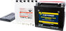 Rwdt67d2fq Fire Power Maintenance Free 12v Battery For Hd Sturgis 1980-1984