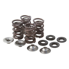 82-82060 Fits 2007 Polaris Sportsman 800 Efi X2 Valve Spring Kit