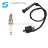 Cw1-x01 For Yamaha Raptor 660r Yfm660r Grizzly 660 Yfm660fa Ignition Coil Spark Plug