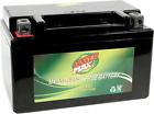 Gtz10s Power Max Maintenance-free Battery