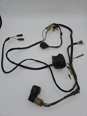 965-cf439 Honda 1983 1984 1985 200x Atc Oem Wiring Harness 83-85 Atc200x