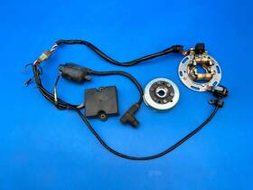 21003-1294 Kawasaki 1996 Kx125 Kx 125 Oem Stator Flywheel Cdi Wire Harness Electrical Set
