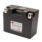 Lfx09l2-bs12 Shorai Lithium-iron Battery Arctic 4897034420043 Lfx09l2-bs12 Shorai Lithium-iron Battery Arctic 4897034420043