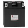 Lfx14l5-bs12 Shorai Battery For