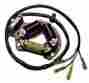 21-802h Lt250r Rick S Suzuki Lt 250 250r Quadracer Ho Stator Generator 1985 1986 1987 1988-1992