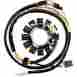 M-21-906 Moose Racing Stator