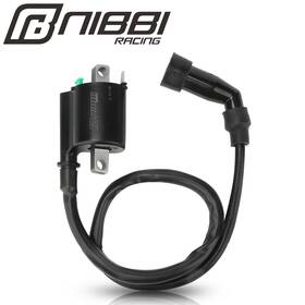 Nibbi 040453817170 Ignition Coil For Cg 125 150 170 200 250 Go-karts Mopeds Atv Utv Scooter