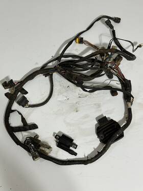 5lp825901000y Oem Raptor 660 Wiring Harness Complete Coil Rectifier