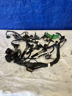 21071-00014 Polaris 2020-2023 Slingshot 2.0 L Wiring Harness/injectors / Coils #21071-00014