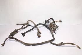 2460862 Polaris 2001 Xplorer 250 4x4 Main Engine Wiring Harness Clean