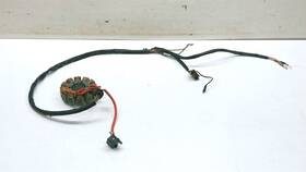 2202602 Polaris 4010709 2002 Sportsman 700 #2 Stator Generator Assy 2202602 Polaris 4010709 2002 Sportsman 700 #2 Stator Generator Assy